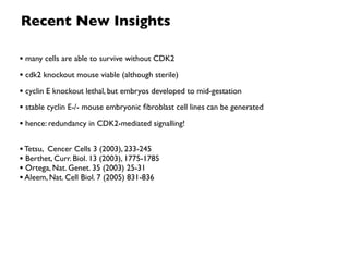 Recent New Insights

• many cells are able to survive without CDK2
• cdk2 knockout mouse viable (although sterile)
• cyclin E knockout lethal, but embryos developed to mid-gestation
• stable cyclin E-/- mouse embryonic ﬁbroblast cell lines can be generated
• hence: redundancy in CDK2-mediated signalling!

• Tetsu, Cencer Cells 3 (2003), 233-245
• Berthet, Curr. Biol. 13 (2003), 1775-1785
• Ortega, Nat. Genet. 35 (2003) 25-31
• Aleem, Nat. Cell Biol. 7 (2005) 831-836
 