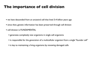 The importance of cell division


 • we have descended from an ancestral cell that lived 3-4 billion years ago
 • since then, genetic information has been preserved through cell division
 • cell division is FUNDAMENTAL
   • generates completely new organisms in single cell organisms
   • is responsible for the generation of a multicellular organism from a single “founder cell”
   • is key to maintaining a living organisms by renewing damaged cells
 