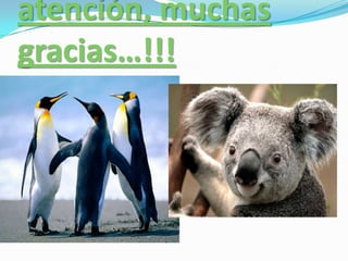 atención, muchas
gracias…!!!

 