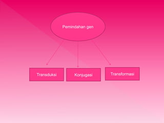 Pemindahan gen 
Transduksi Konjugasi Transformasi 
 