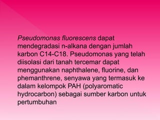 Pseudomonas fluorescens dapat 
mendegradasi n-alkana dengan jumlah 
karbon C14-C18. Pseudomonas yang telah 
diisolasi dari tanah tercemar dapat 
menggunakan naphthalene, fluorine, dan 
phemanthrene, senyawa yang termasuk ke 
dalam kelompok PAH (polyaromatic 
hydrocarbon) sebagai sumber karbon untuk 
pertumbuhan 
 