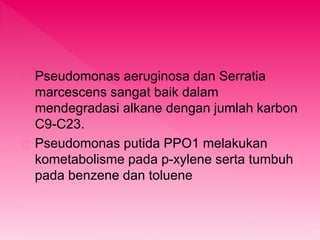Pseudomonas aeruginosa dan Serratia 
marcescens sangat baik dalam 
mendegradasi alkane dengan jumlah karbon 
C9-C23. 
Pseudomonas putida PPO1 melakukan 
kometabolisme pada p-xylene serta tumbuh 
pada benzene dan toluene 
 