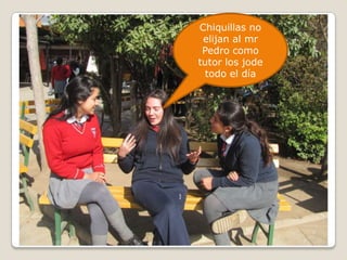 Chiquillas no elijan al mrPedro como tutor los jode todo el día