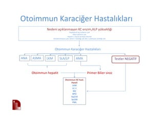 Otoimmun Karaciğer Hastalıkları
Otoimmun Karaciğer Hastalıkları
ANA
Otoimmun KC hast.
Paneli
LKM
LC-1
M2
BPO
Gp210
Sp100
PML
Nedeni açıklanmayan KC enzim,ALP yüksekliği
Hepatoksik ilaç kullanımı yok
Alkol kullanımı yok
Hepatit C veya B serolojisi Normal
Hemokromatozis yok, wilson’s hastalığı yok alfa-1 antitripsin eksikliği yok
ASMA LKM SLA/LP AMA
Otoimmun hepatit Primer Bilier siroz
Testler NEGATİF
 