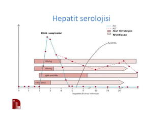 Hepatit serolojisi
 