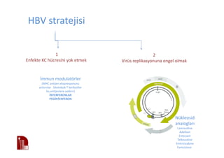HBV stratejisi
1
Enfekte KC hücresini yok etmek
2
Virüs replikasyonuna engel olmak
İmmun modulatörler
(MHC antijen ekspresyonunu
arttırırlar . Sitotoksik T lenfositler
bu antijenlere saldırır)
İNTERFERONLAR
PEGİNTERFERON
Nükleosid
analogları
Lamivudine
Adefovir
Entecavir
Telbivudine
Emtricicabine
Famciclovir
 