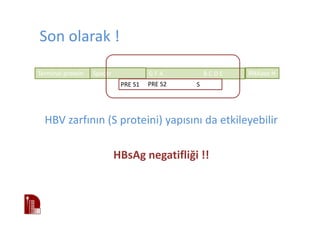 Son olarak !
HBV zarfının (S proteini) yapısını da etkileyebilir
HBsAg negatifliği !!
Terminal protein Spacer G F A B C D E RNAase H
PRE S1 PRE S2 S
 