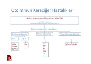 Otoimmun Karaciğer Hastalıkları
Otoimmun Karaciğer Hastalıkları
Otoimmun Hepatit Primer bilier siroz Primer sklerozan kolanjit
Tip I Tip II
ANA
ASMA
SLA/LP
LKM
LC-1
ANA
AMA
M2
BPO
Gp210
Sp100
PML
ANCA (atipik)
Nedeni açıklanmayan KC enzim,ALP yüksekliği
Hepatoksik ilaç kullanımı yok
Alkol kullanımı yok
Hepatit C veya B serolojisi Normal
Hemokromatozis yok, wilson’s hastalığı yok alfa-1 antitripsin eksikliği yok
 