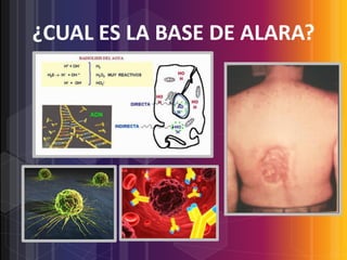 ¿CUAL ES LA BASE DE ALARA?

 