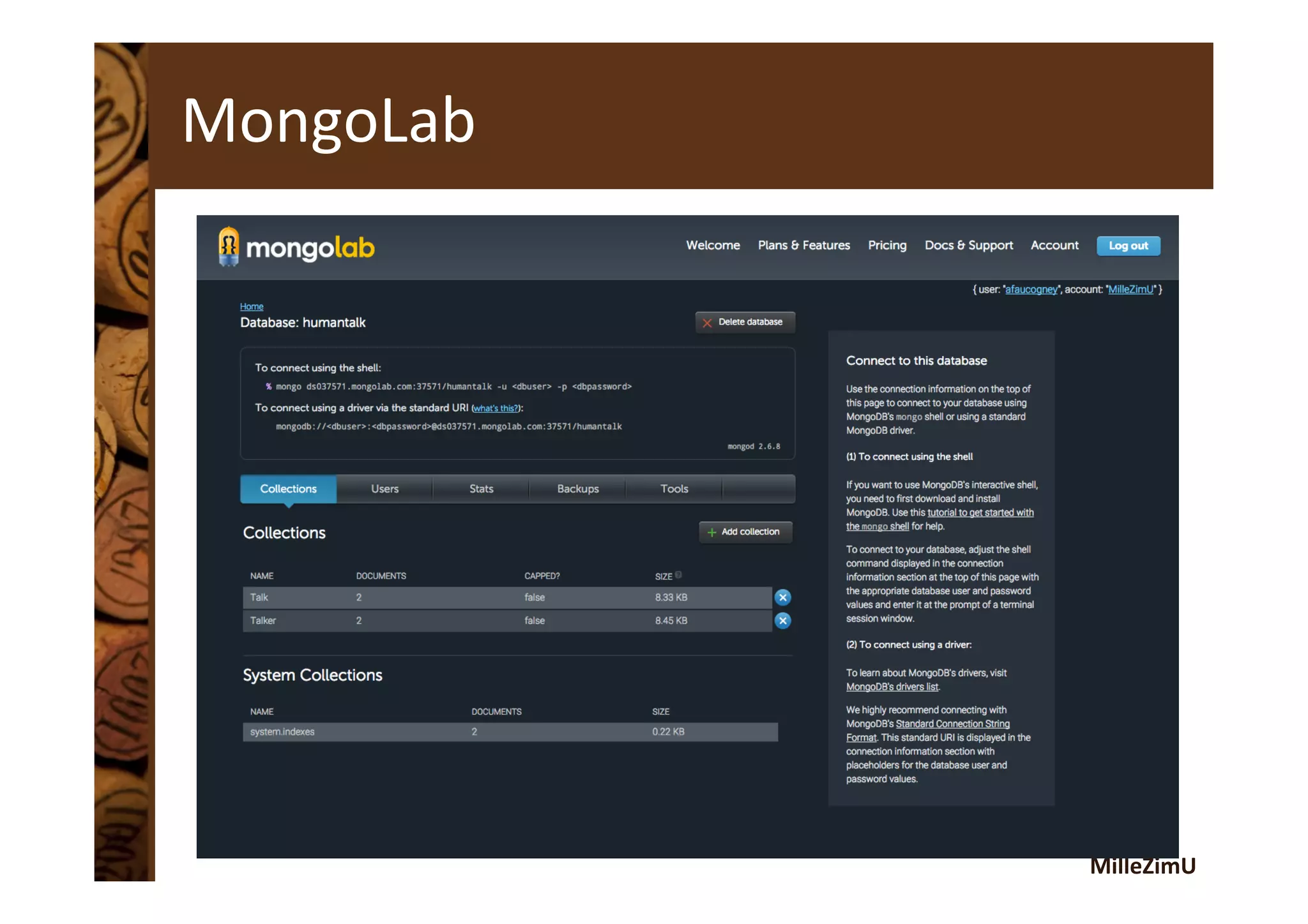MilleZimU	
  
MongoLab	
  
 