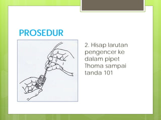 PROSEDUR
2. Hisap larutan
pengencer ke
dalam pipet
Thoma sampai
tanda 101

 