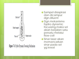  Sampel

diaspirasi
dan dicampur
dgn.diluent
 Dgn.mekanisme
hydro dynamic
focussing,maka sel
akan berjalan satu
persatu melalui
flow cell
 Sinar laser akan
memancarkan
sinar pada sel
yg.lewat

 