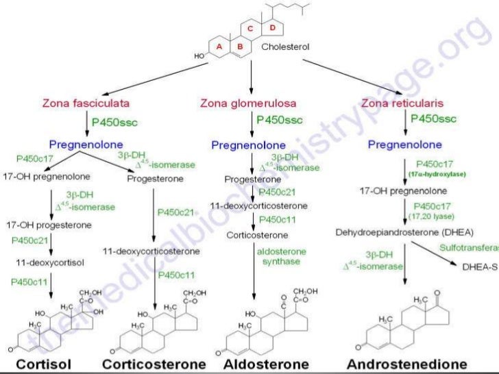 Cushing Syndrome