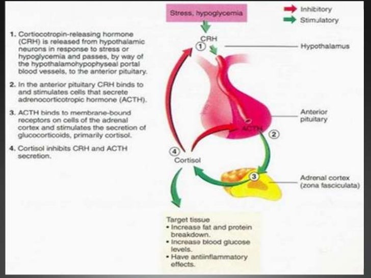 Cushing Syndrome