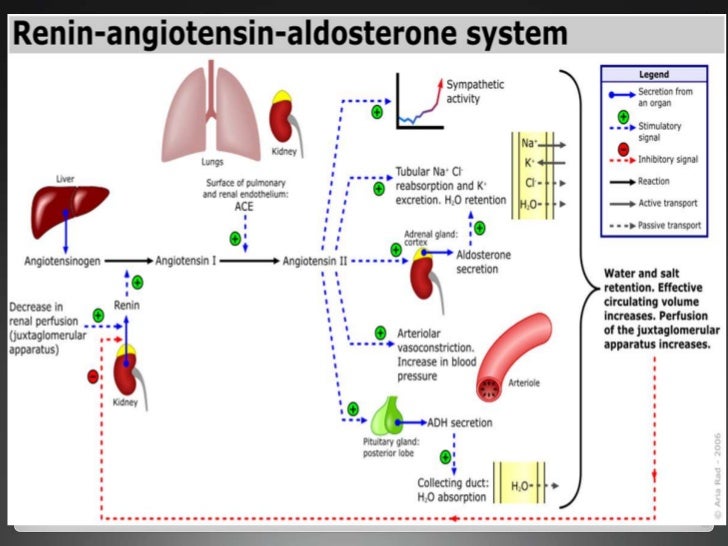 Cushing Syndrome