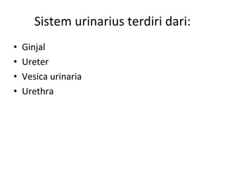 Sistem urinarius terdiri dari: Ginjal Ureter Vesica urinaria Urethra 
