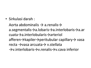 Sirkulasi darah : Aorta abdominalis -> a.renalis->  a.segmentalis ->a.lobaris->a.interlobaris->a.arcuata->a.interlobularis->arteriol afferen->kapiler->peritubular capillary-> vasa recta ->vasa arcuata-> v.stellata ->v.interlobaris->v.renalis->v.cava inferior   