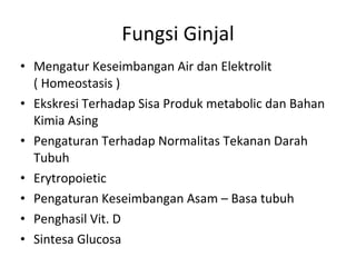 Fungsi Ginjal Mengatur Keseimbangan Air dan Elektrolit ( Homeostasis ) Ekskresi Terhadap Sisa Produk metabolic dan Bahan Kimia Asing  Pengaturan Terhadap Normalitas Tekanan Darah Tubuh  Erytropoietic Pengaturan Keseimbangan Asam – Basa tubuh  Penghasil Vit. D  Sintesa Glucosa 