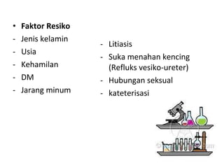 Faktor Resiko Jenis kelamin Usia  Kehamilan DM Jarang minum Litiasis Suka menahan kencing (Refluks vesiko-ureter) Hubungan seksual kateterisasi 