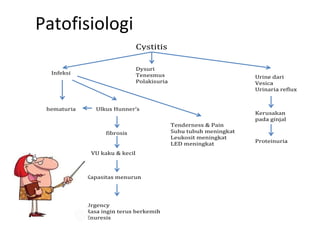 Patofisiologi 