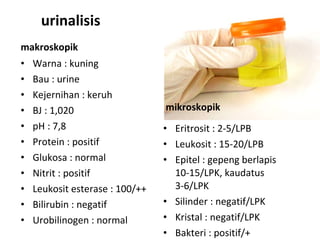 urinalisis makroskopik Warna : kuning Bau : urine Kejernihan : keruh BJ : 1,020 pH : 7,8 Protein : positif Glukosa : normal Nitrit : positif Leukosit esterase : 100/++ Bilirubin : negatif Urobilinogen : normal mikroskopik Eritrosit : 2-5/LPB Leukosit : 15-20/LPB Epitel : gepeng berlapis 10-15/LPK, kaudatus 3-6/LPK Silinder : negatif/LPK Kristal : negatif/LPK Bakteri : positif/+ 