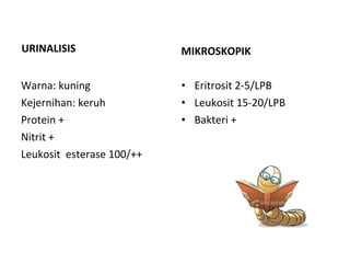 URINALISIS Warna: kuning Kejernihan: keruh Protein + Nitrit + Leukosit  esterase 100/++ MIKROSKOPIK Eritrosit 2-5/LPB Leukosit 15-20/LPB Bakteri + 