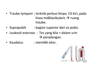 Traube tympani : terknik perkusi limpa. CX kiri, pada    linea midklavikularis    ruang    traube. Suprapubik  : bagian superior dari os pubis. Leukosit esterase  :  Tes yang bila + dalam urin      peradangan. Kaudatus : memiliki ekor. 