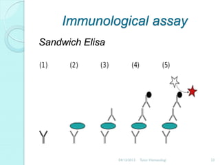 Immunological assay
Sandwich Elisa

04/12/2013

Tutor Hematologi

23

 