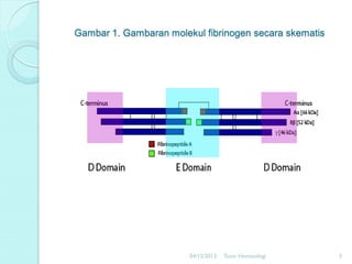 Gambar 1. Gambaran molekul fibrinogen secara skematis

04/12/2013

Tutor Hematologi

3

 