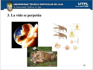 3. La vida se perpetúa 