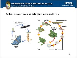 4. Los seres vivos se adaptan a su entorno 