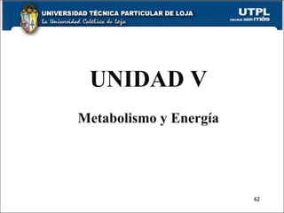 UNIDAD V Metabolismo y Energía 