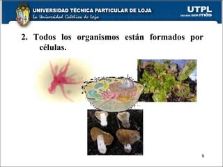 2. Todos los organismos están formados por células. 