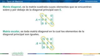 vectores y matrices .pptx