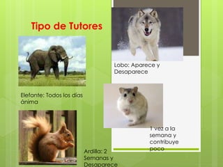 Tipo de Tutores
Lobo: Aparece y
Desaparece
Elefante: Todos los días
ánima
Ardilla: 2
Semanas y
Desaparece
1 vez a la
semana y
contribuye
poco
 