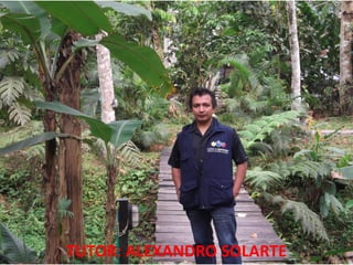 TUTOR: ALEXANDRO SOLARTE
 