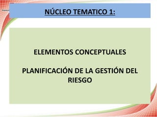 ELEMENTOS CONCEPTUALES
PLANIFICACIÓN DE LA GESTIÓN DEL
RIESGO
NÚCLEO TEMATICO 1:
 