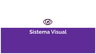 Comprehensive Overview of the Human Visual System and Retina Function | PDF