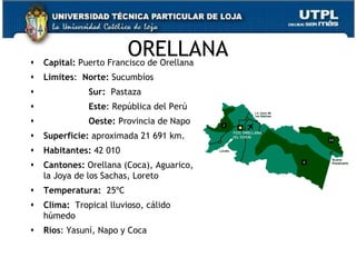 
                         ORELLANA
    Capital: Puerto Francisco de Orellana
   Límites: Norte: Sucumbíos
              Sur: Pastaza
              Este: República del Perú
              Oeste: Provincia de Napo
   Superficie: aproximada 21 691 km.
   Habitantes: 42 010
   Cantones: Orellana (Coca), Aguarico,
    la Joya de los Sachas, Loreto
   Temperatura: 25ºC
   Clima: Tropical lluvioso, cálido
    húmedo
   Ríos: Yasuní, Napo y Coca

                                            24
 