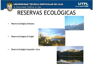 RESERVAS ECOLÓGICAS
   Reserva Ecológica Antisana




   Reserva Ecológica El Ángel




   Reserva Ecológica Cayambe –Coca




                                      54
 