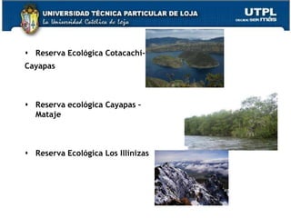  Reserva Ecológica Cotacachi-
Cayapas



 Reserva ecológica Cayapas –
  Mataje



 Reserva Ecológica Los Illinizas




                                    55
 