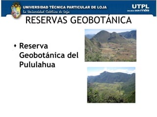 RESERVAS GEOBOTÁNICA

 Reserva
  Geobotánica del
  Pululahua




                          62
 
