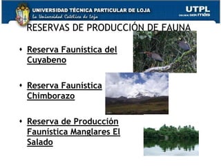 RESERVAS DE PRODUCCIÓN DE FAUNA

 Reserva Faunística del
  Cuyabeno

 Reserva Faunística
  Chimborazo

 Reserva de Producción
  Faunística Manglares El
  Salado
                                   64
 