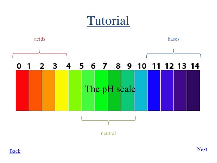 is ph = 11 an acid a base or neutral