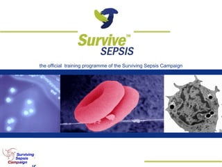 the official  training programme of the Surviving Sepsis Campaign 