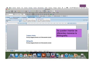 Se pueden insertar de
diferentes maneras la
Bibliografía.
 