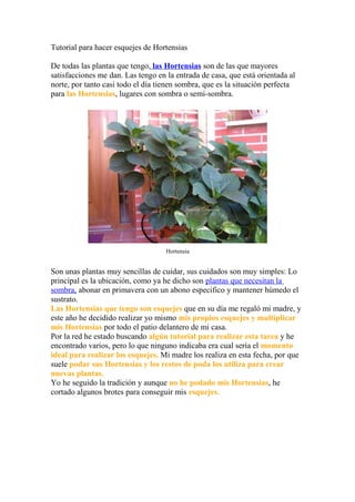 Tutorial para hacer esquejes de Hortensias
De todas las plantas que tengo, las Hortensias son de las que mayores
satisfacciones me dan. Las tengo en la entrada de casa, que está orientada al
norte, por tanto casi todo el día tienen sombra, que es la situación perfecta
para las Hortensias, lugares con sombra o semi-sombra.
Hortensia
Son unas plantas muy sencillas de cuidar, sus cuidados son muy simples: Lo
principal es la ubicación, como ya he dicho son plantas que necesitan la
sombra, abonar en primavera con un abono especifico y mantener húmedo el
sustrato.
Las Hortensias que tengo son esquejes que en su día me regaló mi madre, y
este año he decidido realizar yo mismo mis propios esquejes y multiplicar
mis Hortensias por todo el patio delantero de mi casa.
Por la red he estado buscando algún tutorial para realizar esta tarea y he
encontrado varios, pero lo que ninguno indicaba era cual sería el momento
ideal para realizar los esquejes. Mi madre los realiza en esta fecha, por que
suele podar sus Hortensias y los restos de poda los utiliza para crear
nuevas plantas.
Yo he seguido la tradición y aunque no he podado mis Hortensias, he
cortado algunos brotes para conseguir mis esquejes.
 