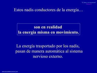 Estos nadis conductores de la energía… son en realidad  la energía misma en movimiento. La energía trasportado por los nadis,  pasan de manera automática al sistema nervioso externo.   