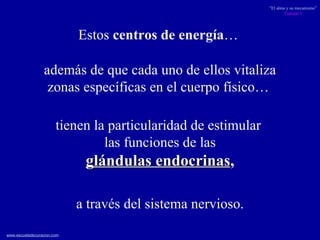 Estos  centros de energía …  tienen la particularidad de estimular  las funciones de las glándulas endocrinas ,   además de que cada uno de ellos vitaliza zonas específicas en el cuerpo físico…  a través del sistema nervioso. 