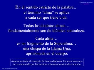 E n el sentido estricto de la palabra…  el término “alma” se aplica  a cada ser que tiene vida.  Cada alma…  es un fragmento de la Superalma…  una chispa de la  Llama Una , aprisionada en el cuerpo.  Aquí se sustenta el concepto de hermandad entre los seres humanos, tan testimoniada por los místicos e iluminados de todo el mundo. Todas las distintas almas…  fundamentalmente son de idéntica naturaleza.   